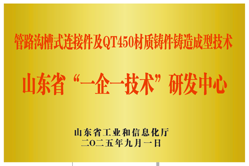 山東省“一企一技術(shù)”研發(fā)中心